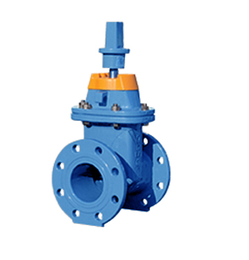 Resilient Seated Gate Valves